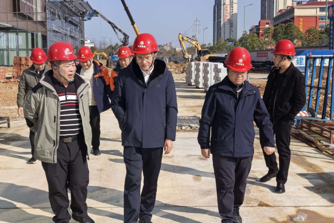 繃緊廉潔自律弦 打好項(xiàng)目收官戰(zhàn)——湖南地質(zhì)遙感所開(kāi)展作風(fēng)建設(shè)與清廉項(xiàng)目建設(shè)專項(xiàng)調(diào)研